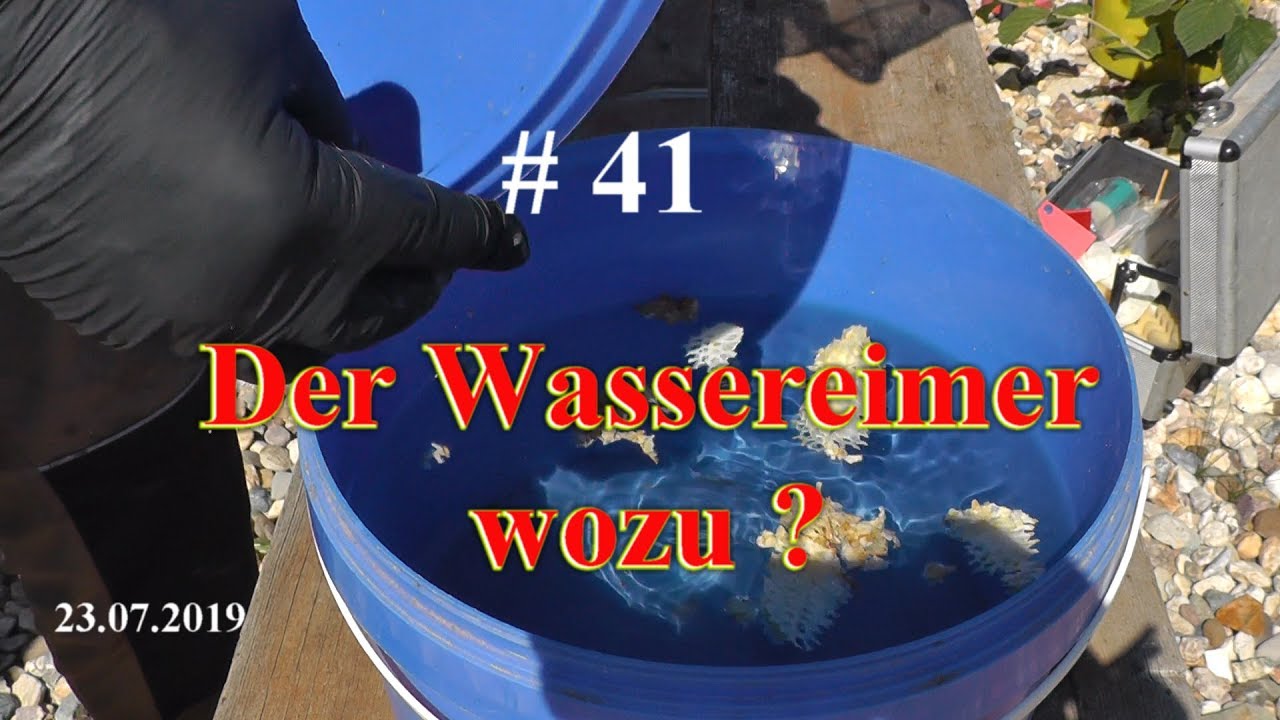 Tipps&Tricks Wozu der Wassereimer? BeeDad zeigt #Imkern 2019 #41