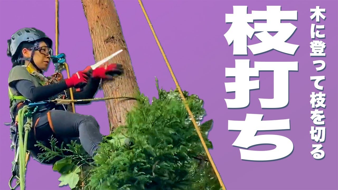 枝打ち作業について解説