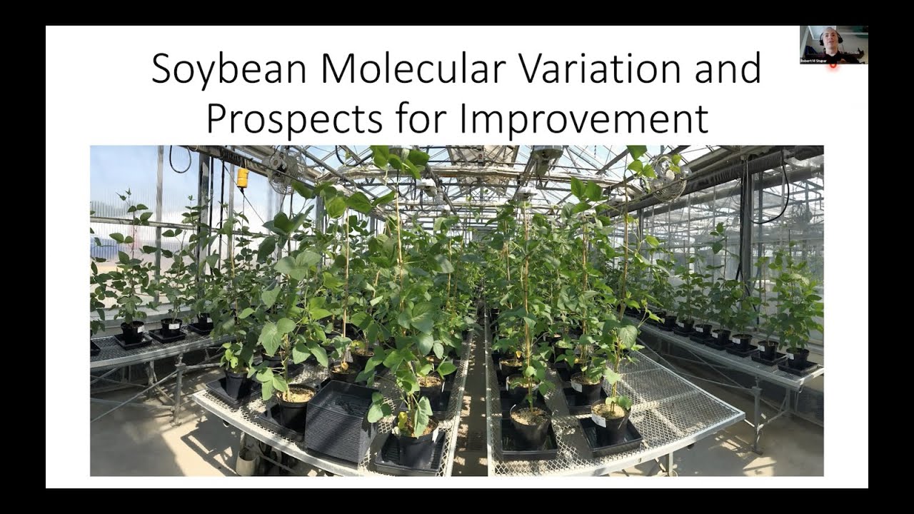 Soybean Molecular Variation & Prospects for Improvement - Dr. Bob Stupar - MAES Project seminar 2021