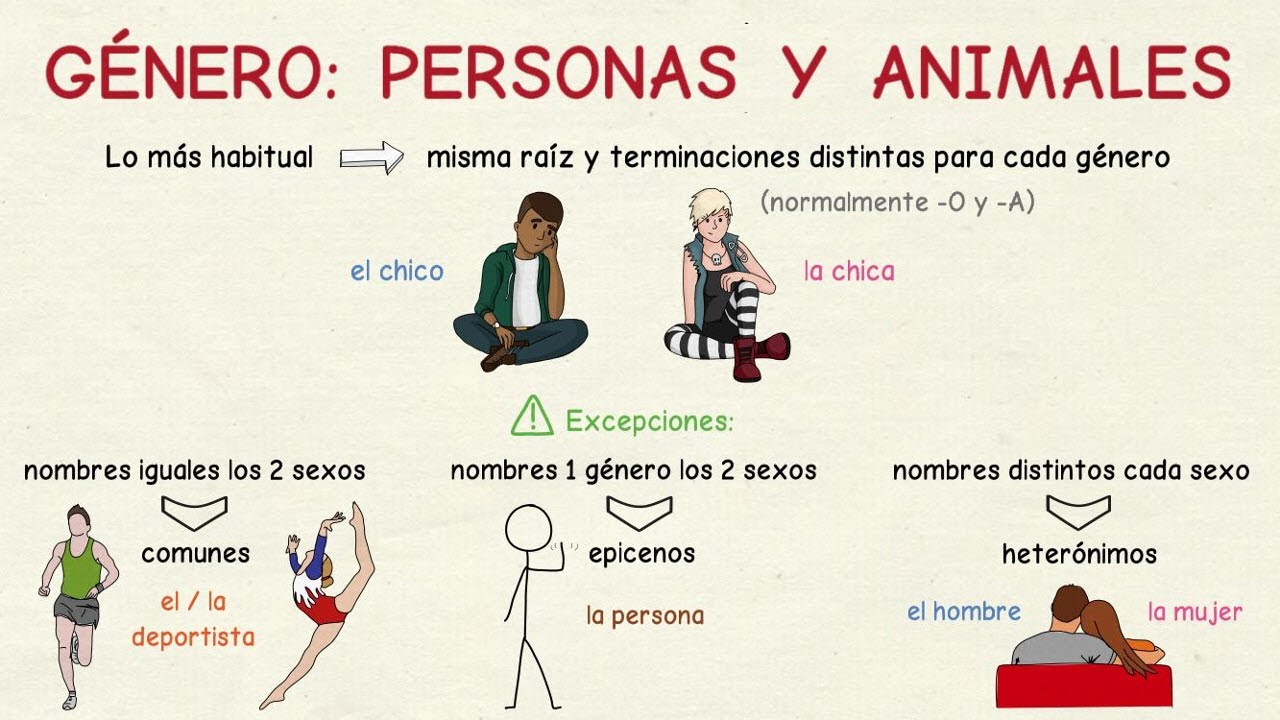 Aprender español: El género de personas y animales I (nivel intermedio)