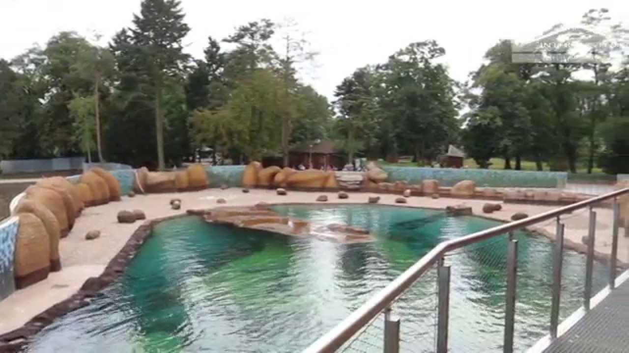 PB Inter-System S.A. - Pierwsi mieszkańcy Afrykarium już w swoim domu (08.2014)