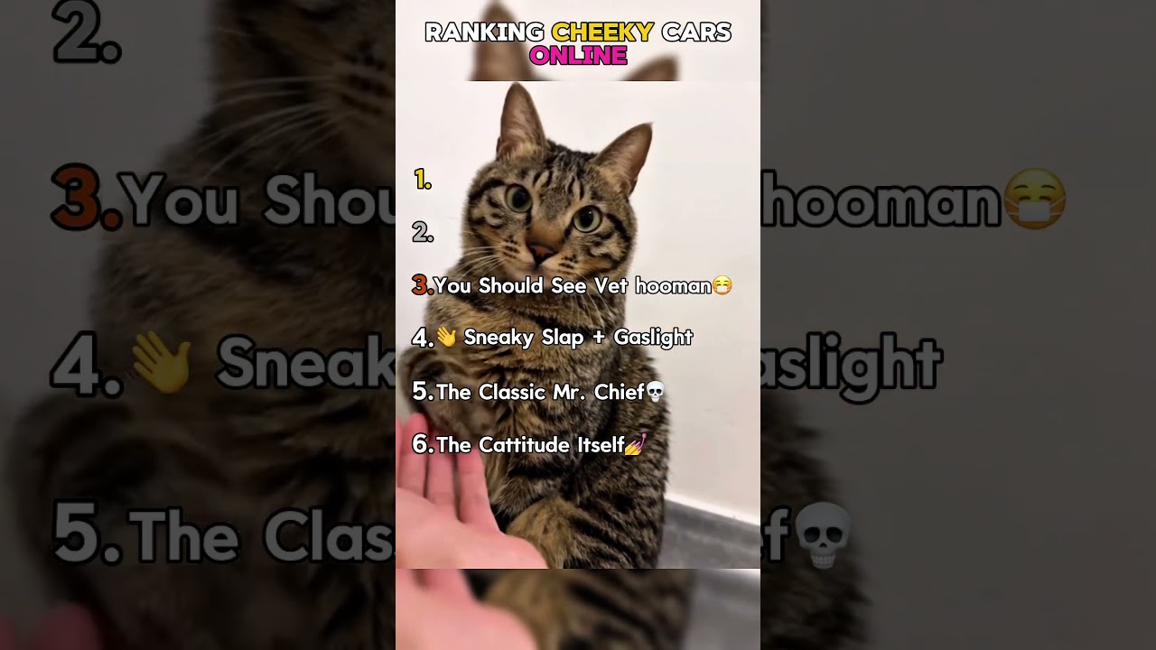 Ranking Cheeky Cats Online