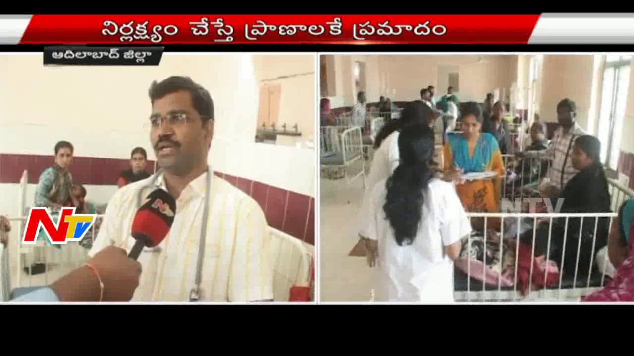 Scrub Typhus Disease Hits in Adilabad District || NTV