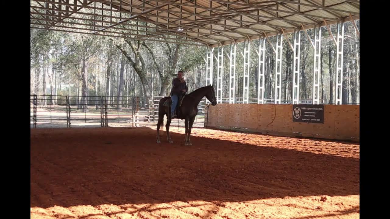Working with a pushy horse.