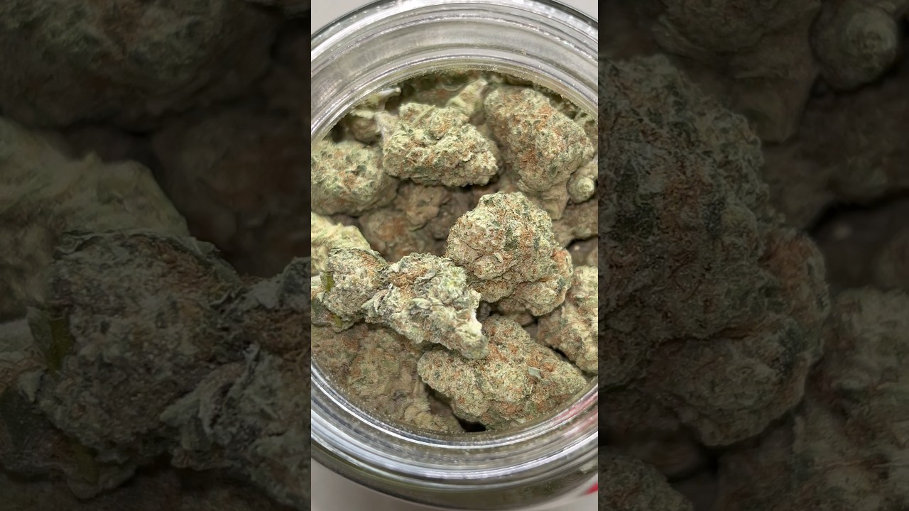 PicaPuff Gush Mintz Indoor Mediums