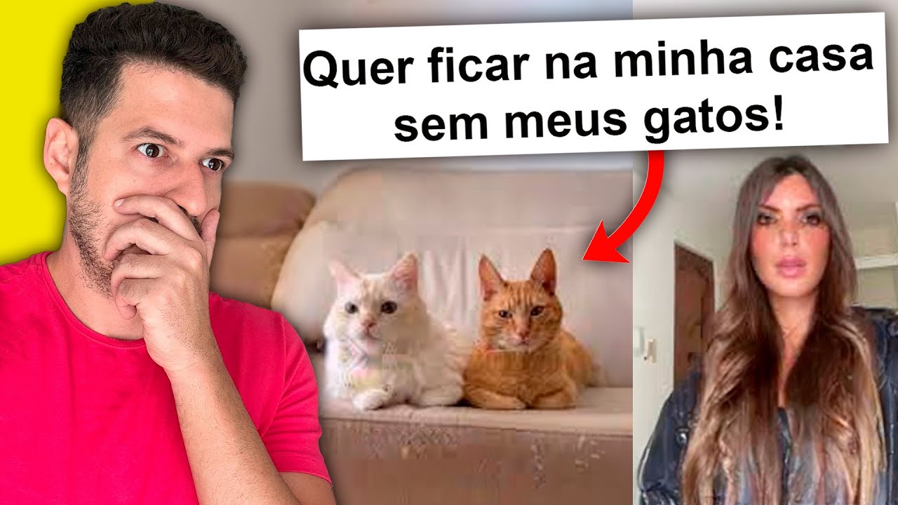 Minha irmã quer que eu me livre dos meus gatos - Histórias dos seguidores!