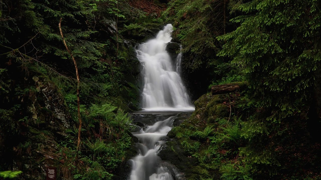 Der Todtmooser Wasserfall zwischen Rütte und Hintertodtmoos