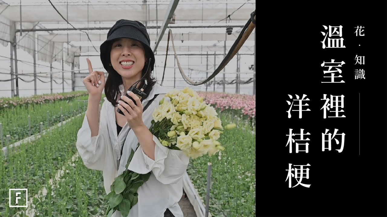 溫室裡的花朵「洋桔梗」・ 沒那麼脆弱，帶你來場花藝直擊！｜花裡 FORi Flower