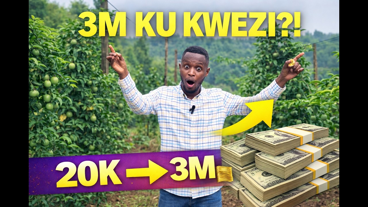Marakuja Zimwinjiriza 3,000,000 Frw ku Kwezi 😳 Yahinze Ibiti 20,000 kuri Hegitare 6!