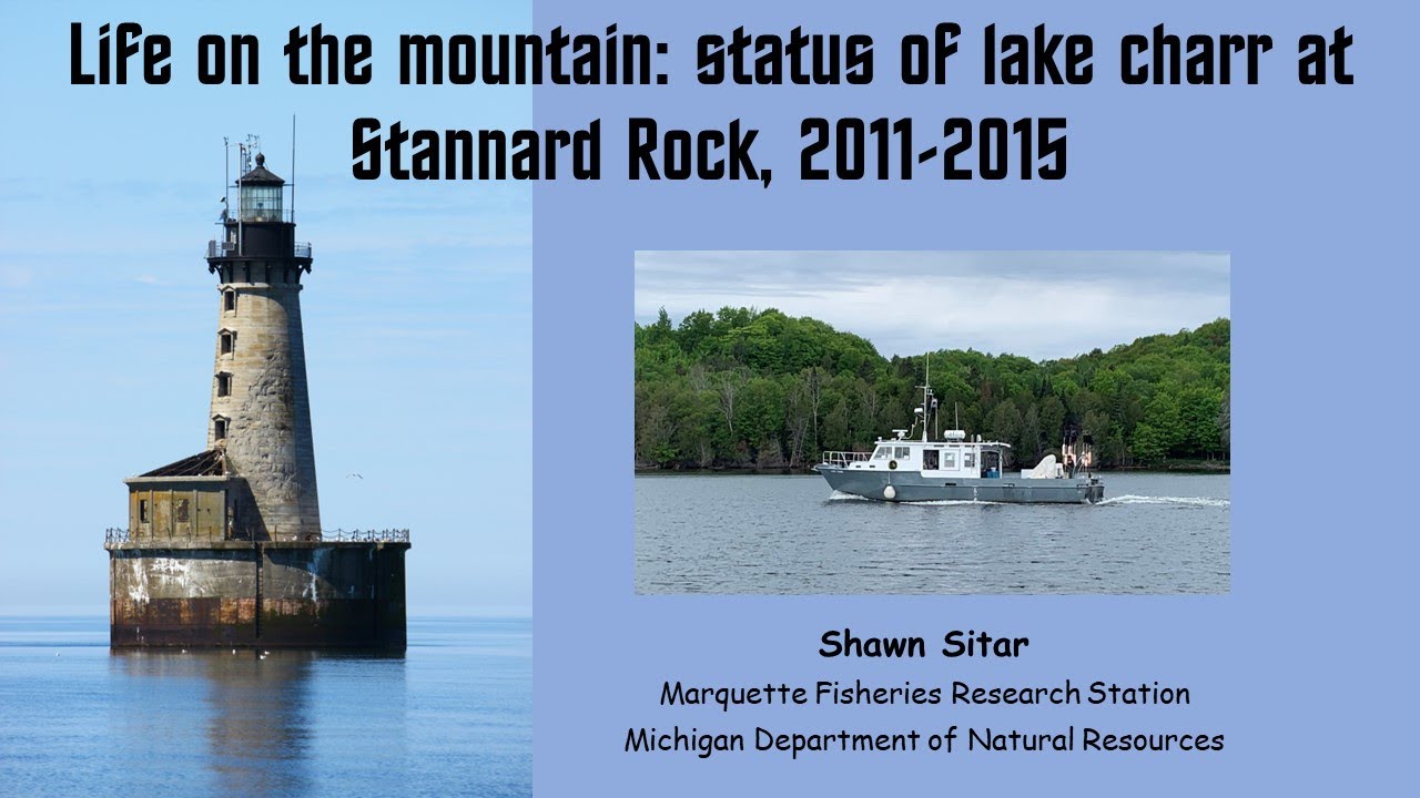 Life on the mountain: Status of lake charr at Stannard Rock, 2011-2015