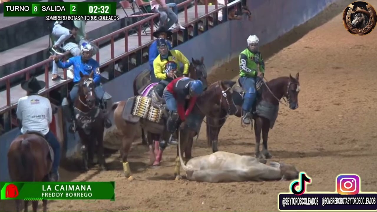 TURNO 8 SALIDA 2 FUTURITY DEL COLEO 25-1 J RODRIGUEZ - JOSMAR DIAZ - FREDDY BORRGEO - EZEQUIEL TOSTA
