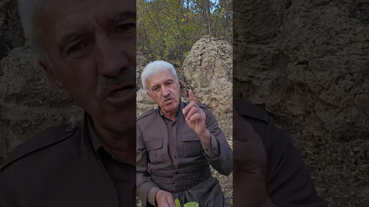 کوردو بخوە بنڤە...Kurdo bixwe binve   Mela Elî șirtî