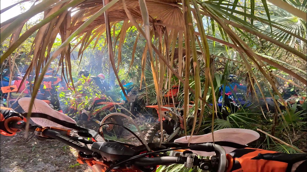 FTR Hare Scramble #6 - Indiantown - 02/02/2025 (Master C, 4th place)