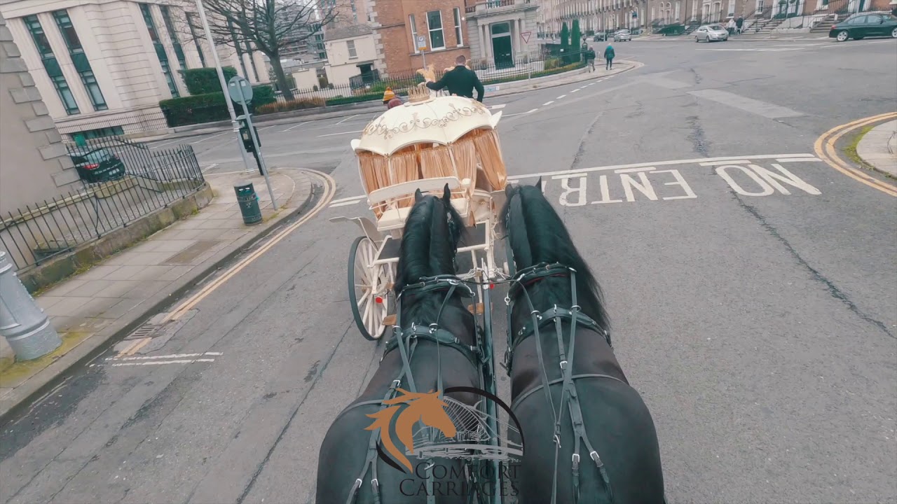 Driving Horses Through Dublin City
