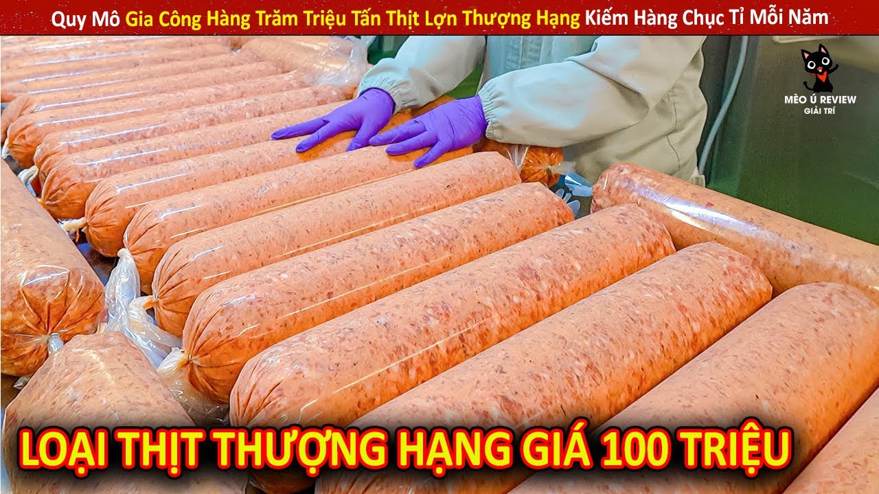 Quy M&ocirc; Gia C&ocirc;ng H&agrave;ng Trăm Triệu Tấn Thịt Lợn Thượng Hạng Kiếm H&agrave;ng Chục Tỉ Mỗi Năm