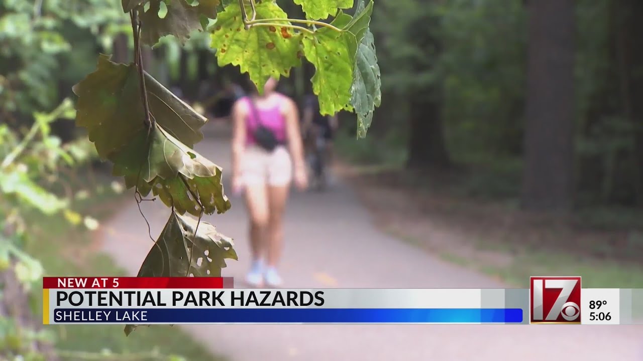 Shelley Lake trail bridges spark safety concerns after social media post