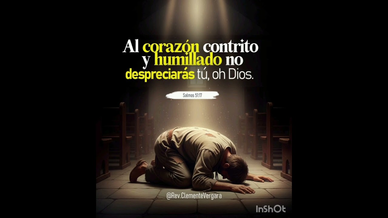 Paz cuán dulce Paz 🕊️