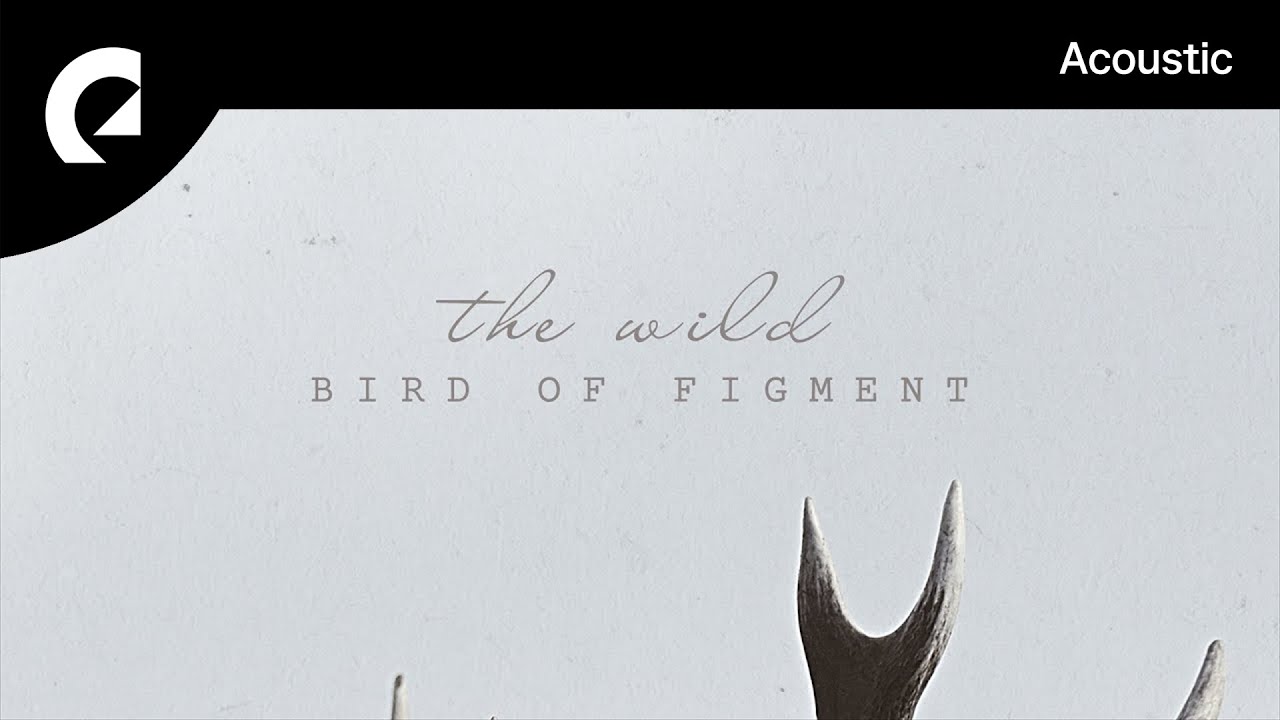 Bird Of Figment - The Wild