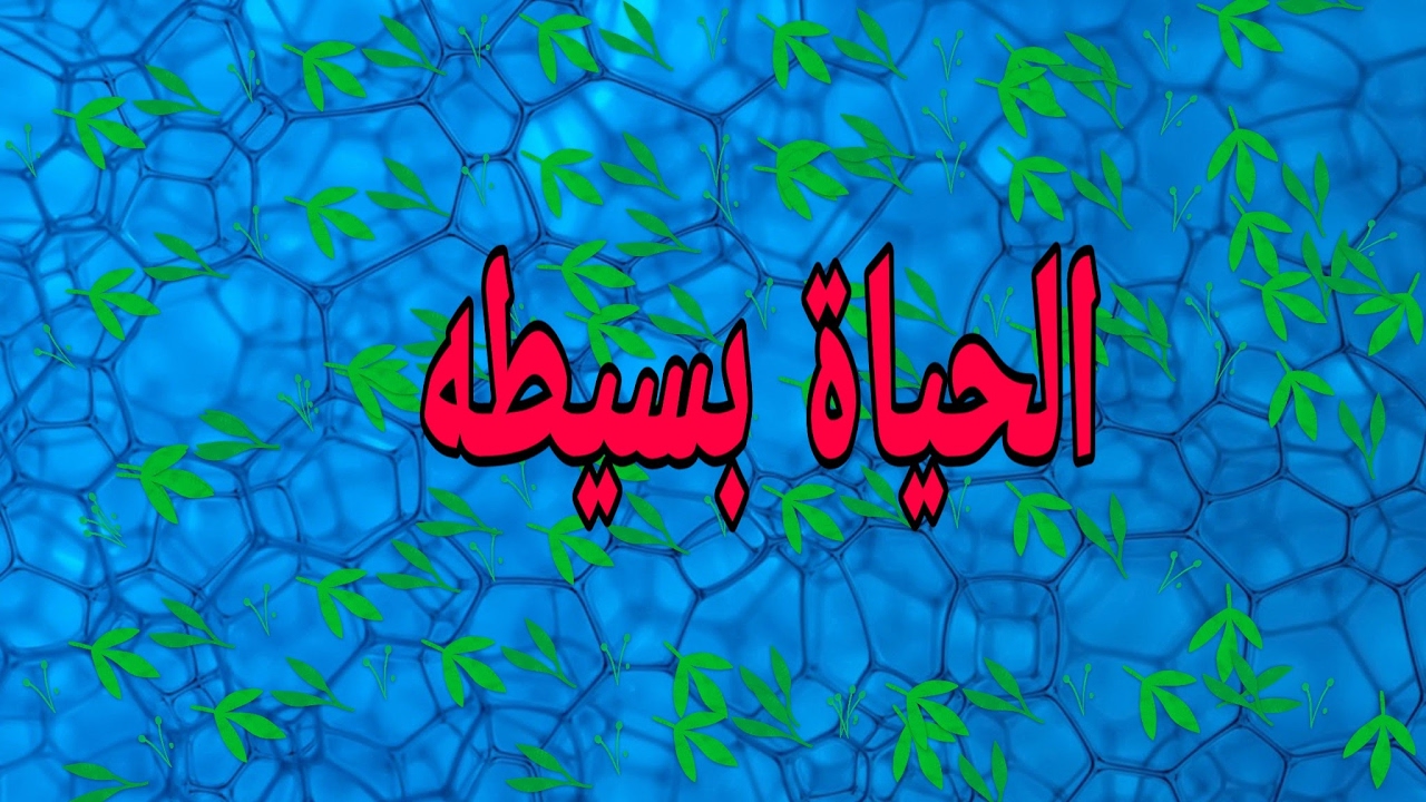 الهجة المغربية