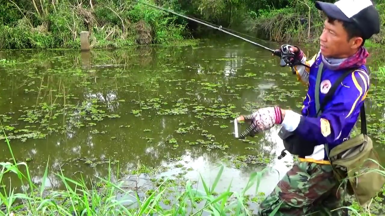 C&acirc;u r&ecirc; c&aacute; l&oacute;c ao b&egrave;o phần 10