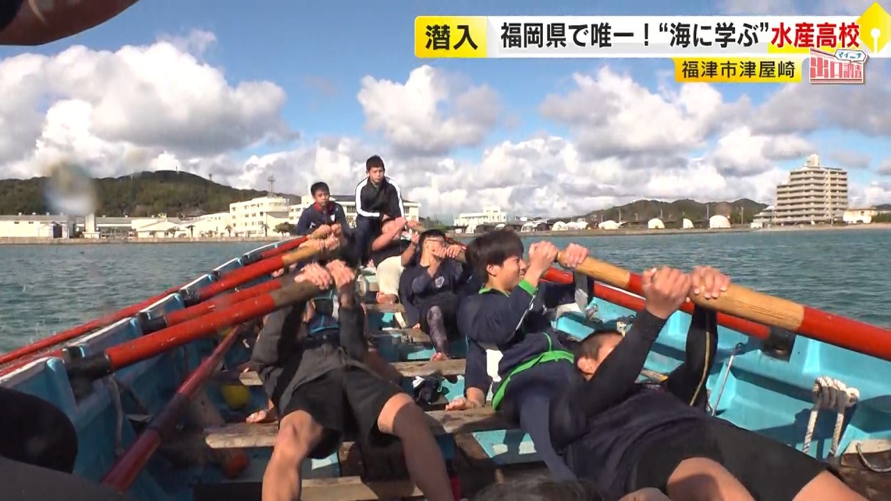 「福津市」を調査　海のスペシャリストを育成する高校　「国民健康保険」発祥の地　“光の道”の神社にはミニ動物園があった　【マイニチ出口調査】／ （2026/01/09  OA）