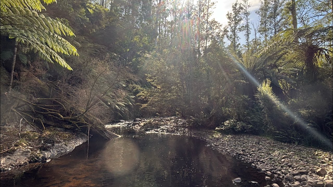 Trout Fishing A Picturesque Mountain Stream