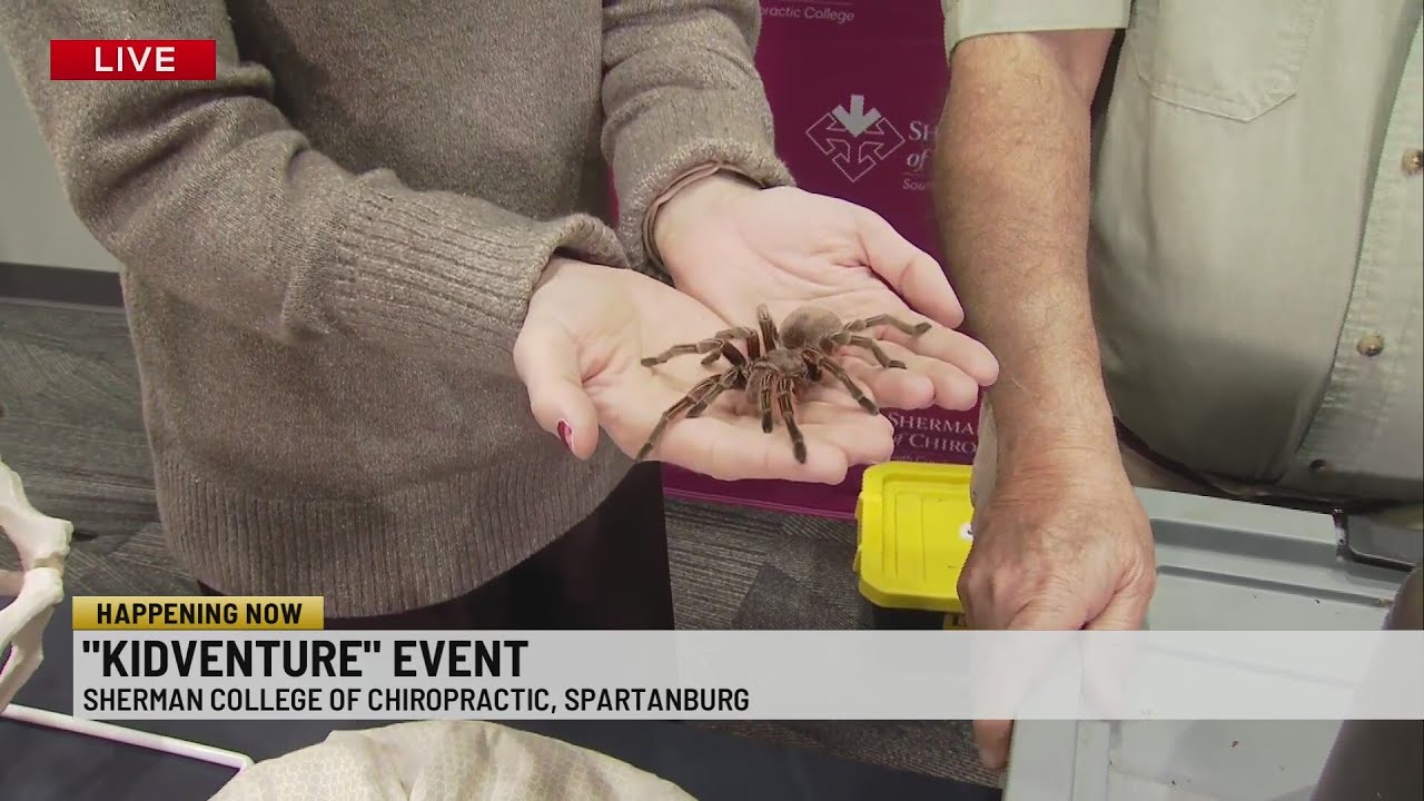 Bike raffle, kids activities highlight Sherman College of Chiropractic KidVenture
