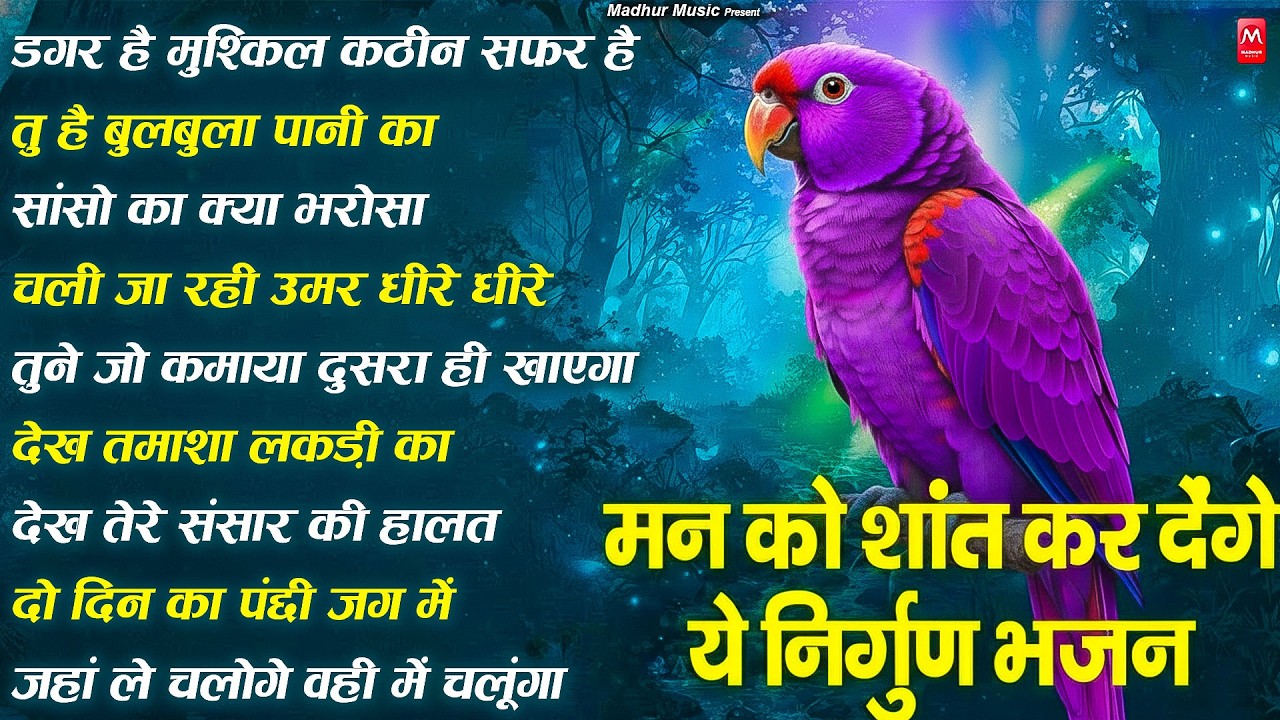 मन का मैल धो देंगे ये निर्गुण भजन | Nonstop Nirgun Bhajan | Hindi Nirgun Bhajan | #nirgun #song