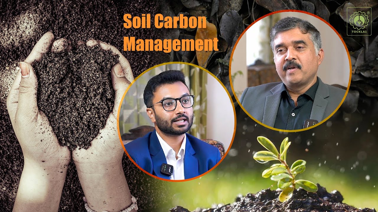 Healthy Soils, Better Tea: The Role of Carbon in Tea Plantations (Tea Time Ep. 19)
