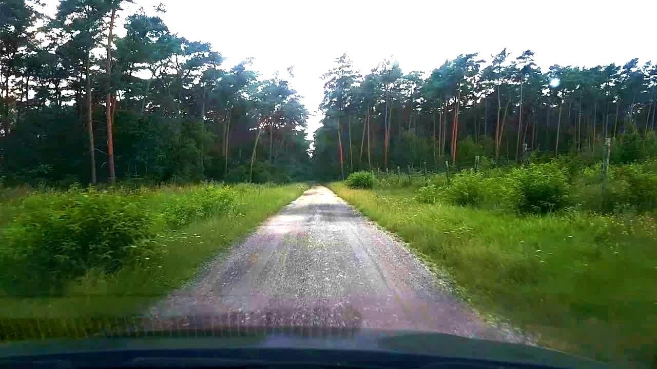 Nawiedzony Las Duch Czarnej Damy Nawiedzone Mroczne Miejsca Duchy w Polsce