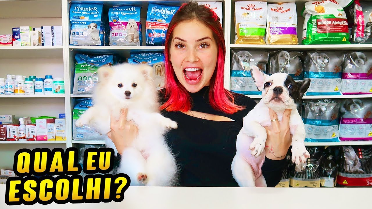 ESCOLHENDO MEU NOVO CACHORRINHO!!!