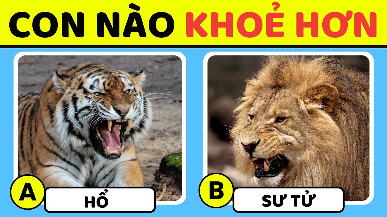 🧠 Kiến Thức Của Bạn Về Thế Giới Động Vật Tốt Đến Mức Nào? 🦁🐘🐯 ✅ Trắc Nghiệm Kiến Thức Về Động Vật