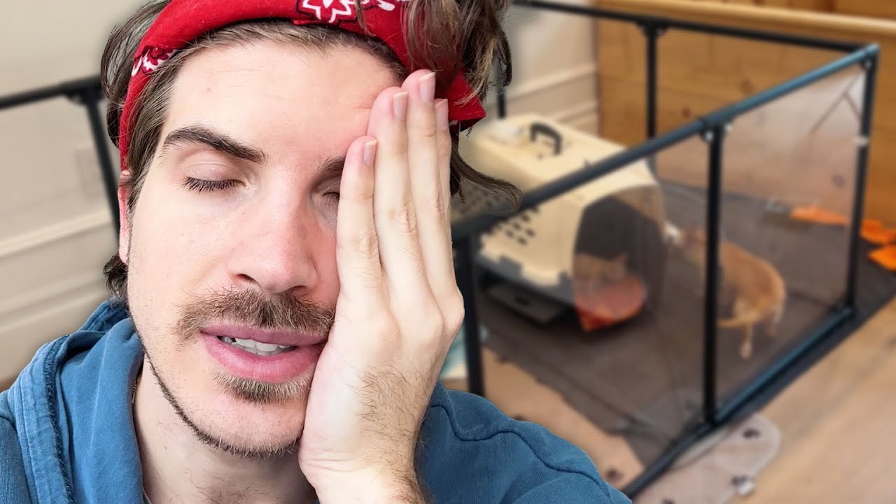 Покойся с миром, малыш...