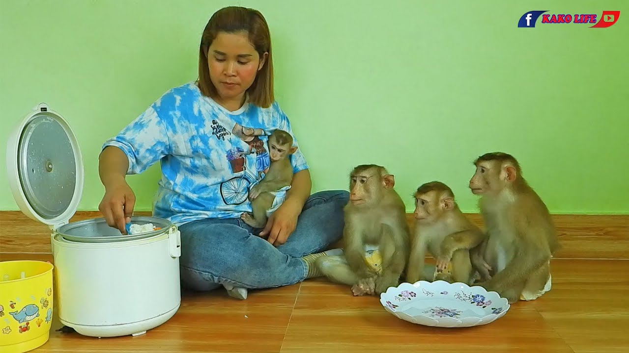 Smart Kako Family Have Lunch Together