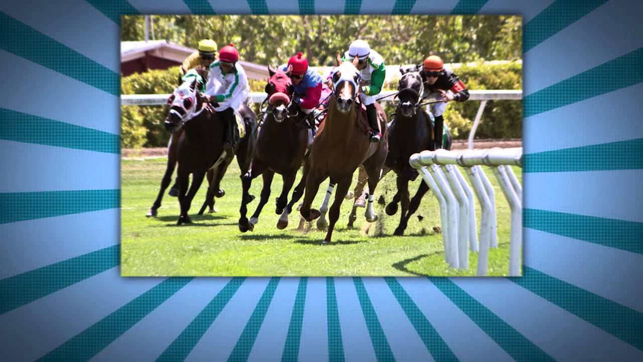 Sonoma County Fair - Event Video