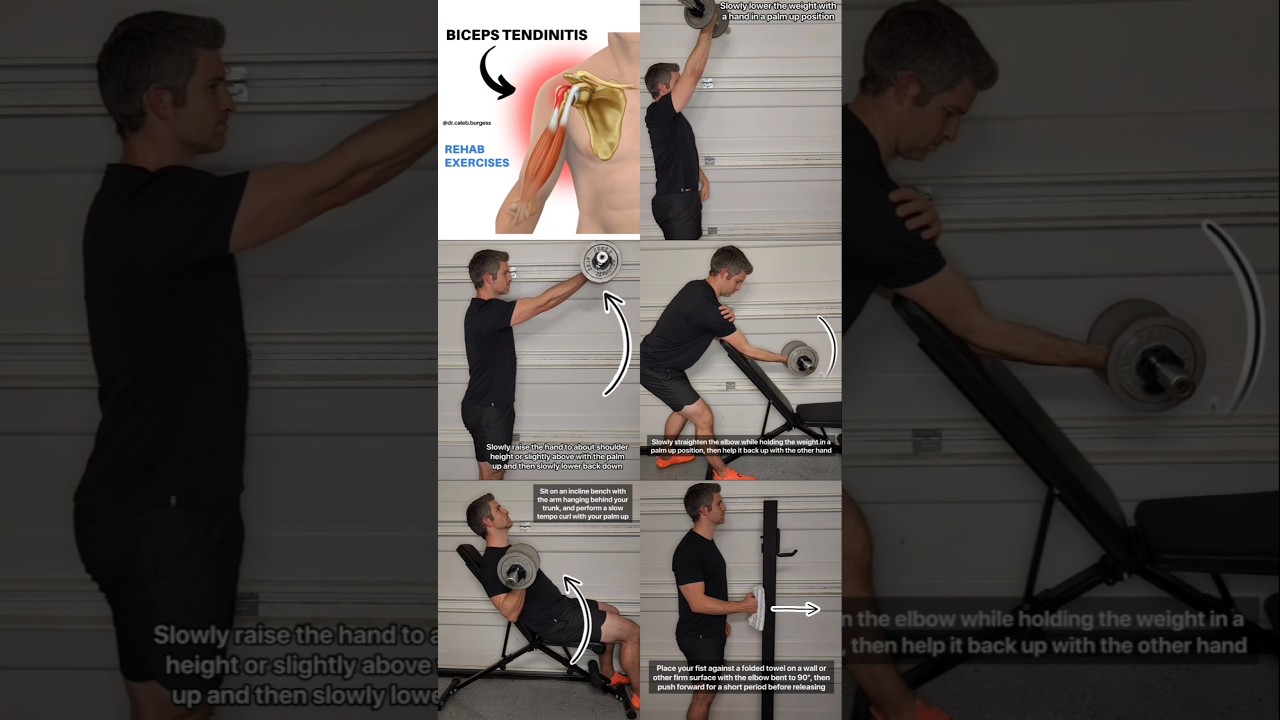 Biceps Tendinitis - Rehab Exercises