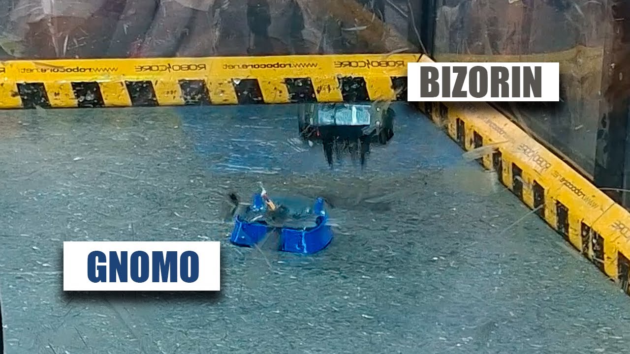 Gnomo vs. Bizorin - RoboChallenge 2025