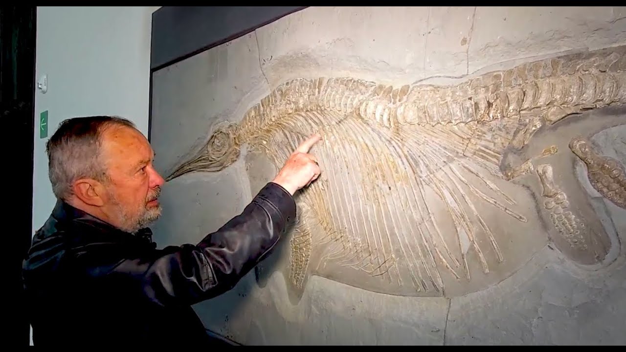 La Milarca, nuevo museo del coleccionista Mauricio Fernández Garza