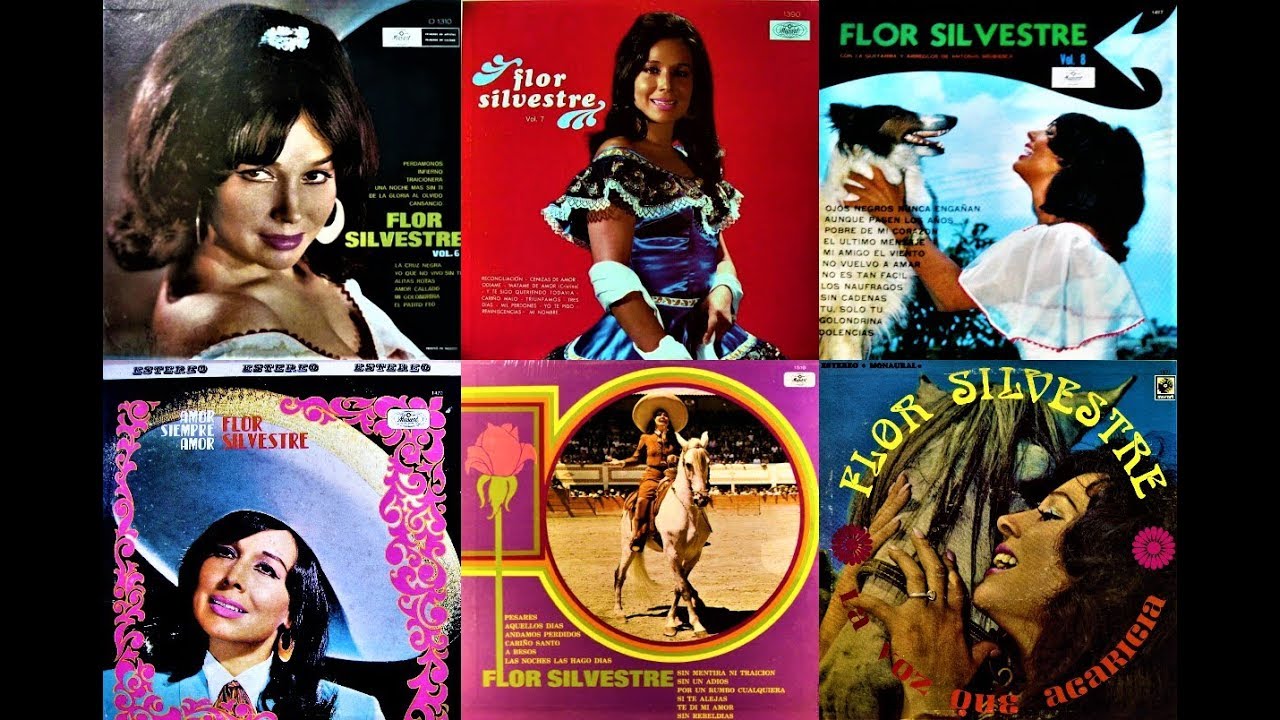 Flor Silvestre: Sus Éxitos, Parte 2 (1967-1977) / Álbum Completo / Disco Completo