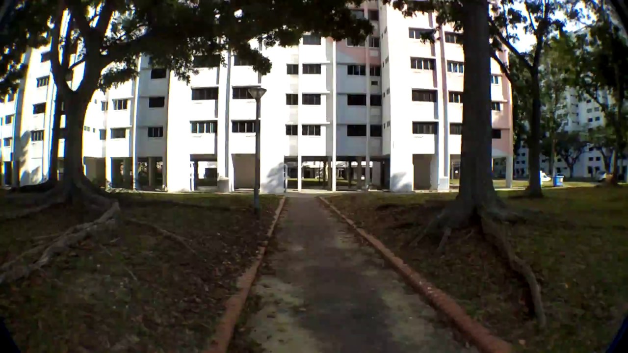 (FORGOTTEN VIDEO) Lift Tour #14 at Blocks 46 to 50 Bedok South