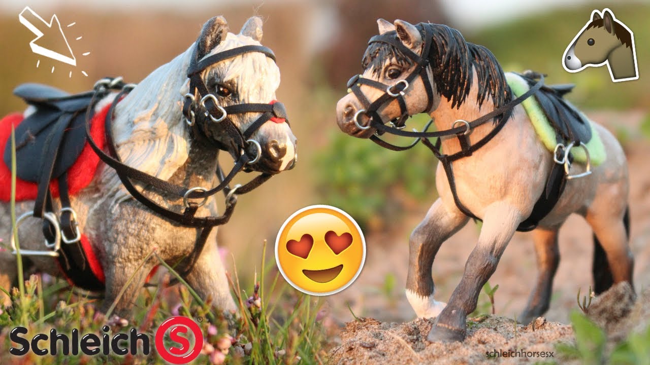 Al mijn SCHLEICH PAARDEN TUIG laten zien! (2012 - 2018) | Schleich #30 | Daphneee