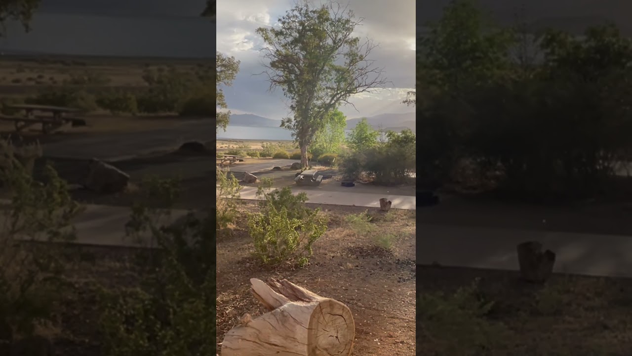 Have you ever seen the rain? #lakemead #creedenceclearwaterrevival #rainy #sunrise