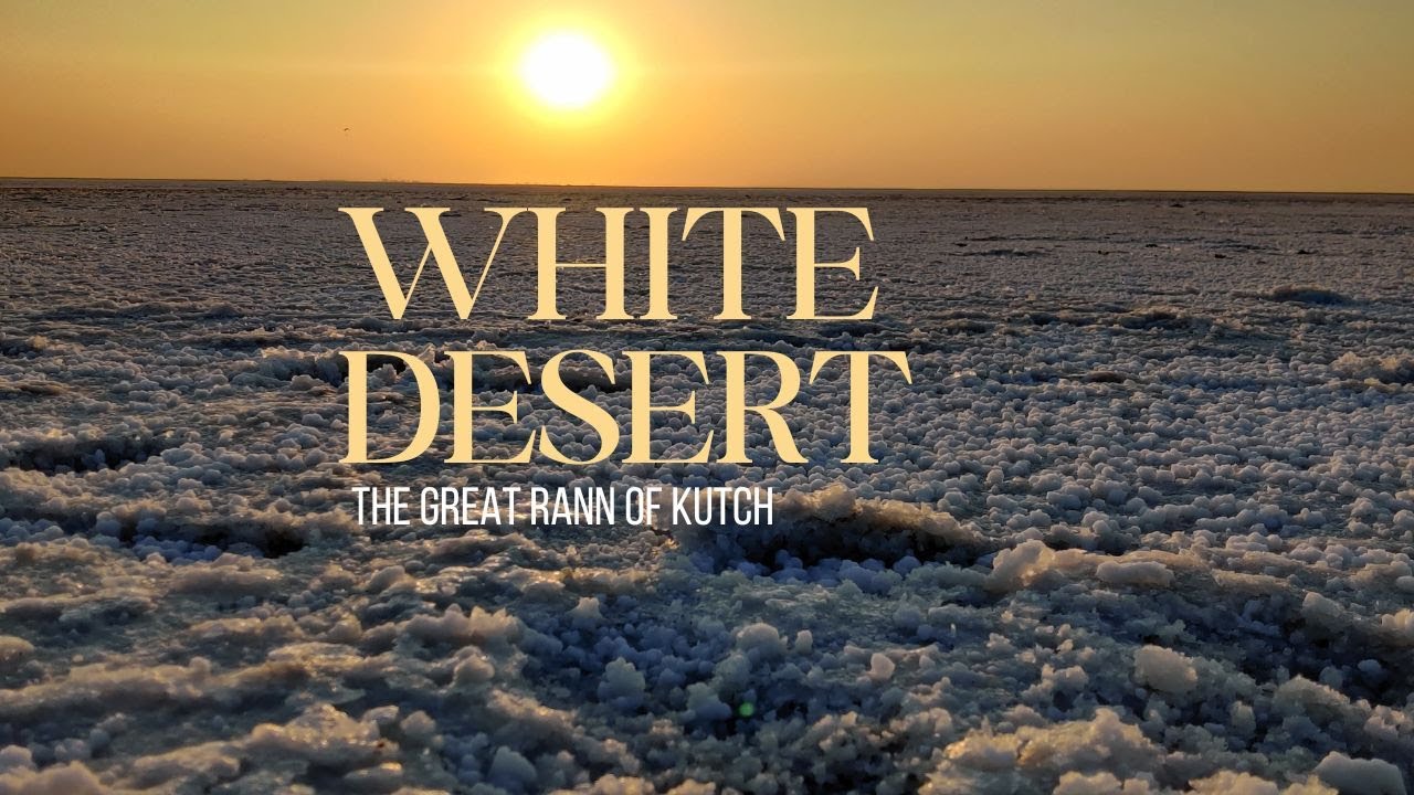 Harappan Ruins | Road To Heaven | Great Rann Of Kutch | Gujarat Travel Series II - EP 03