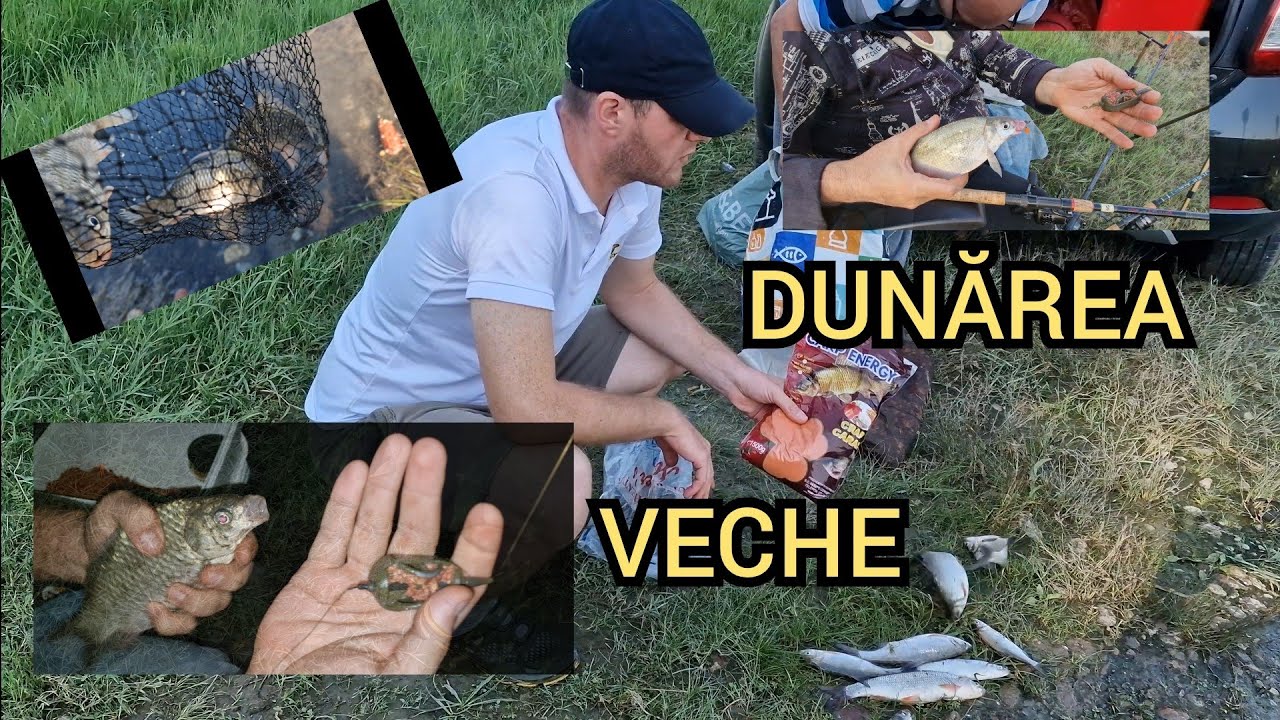 Cea mai buna locatie de pe DUNARE pe bratul vechi.  Am prins si pe canicula 14 IULIE 2024