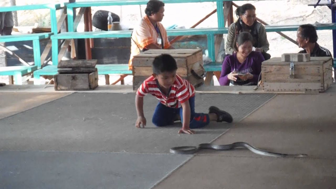Thai Child Snake Charmer