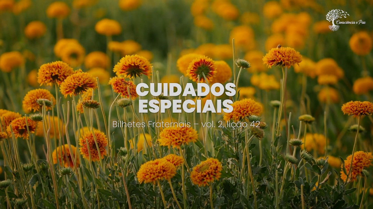 Cuidados Especiais