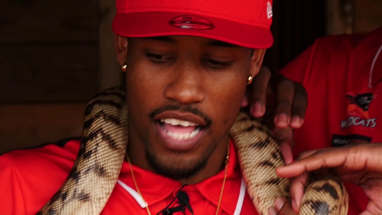 Perth Wildcats - Caversham Wildlife Park Visit