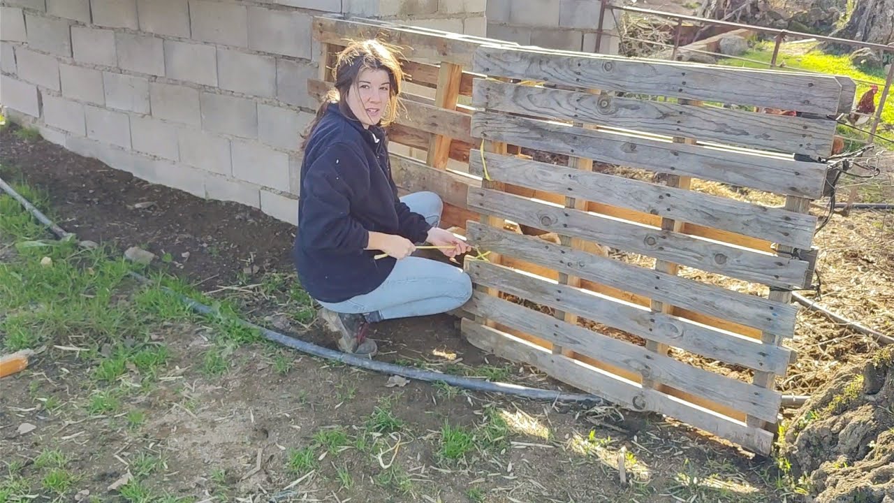 Se me ha escapao Rosita, ya aprendió a salirse