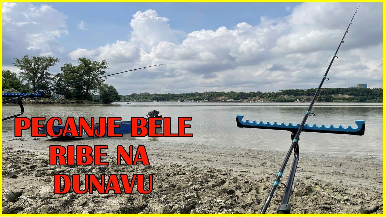 Pecanje bele ribe,Dunav je Dunav!
