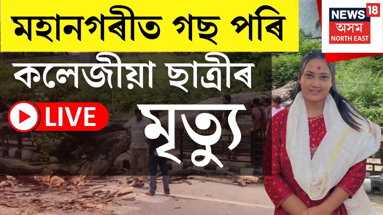 Guwahati News LIVE : মহানগৰীৰ কালীপুৰত গছ পৰি কলেজীয়া ছাত্ৰীৰ মৃত্যু